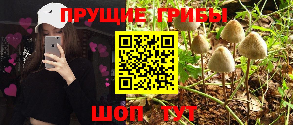 Рославль  Галлюциногенные грибы GOLDEN TEACHER  Вход с VPN 