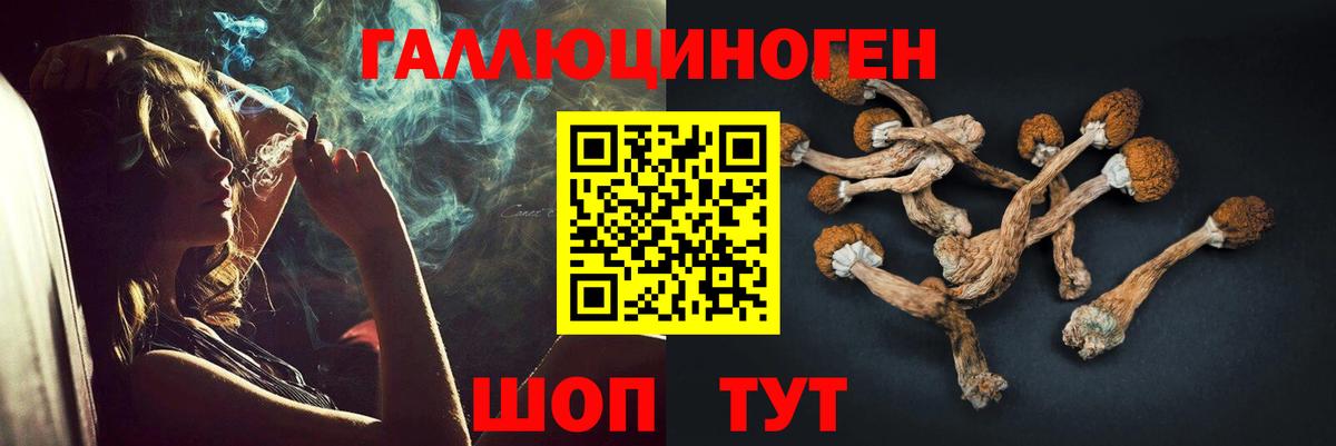 Галлюциногенные грибы Magic Shrooms Рославль